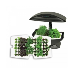 Garden Starter - Kit Vassoio germinazione 66 semi per Aerogarden