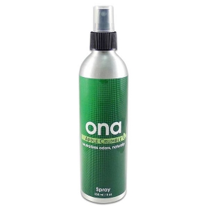 ONA SPRAY APPLE CRUMBLE 250ML