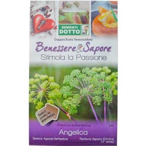 Sementi Dotto - Angelica
