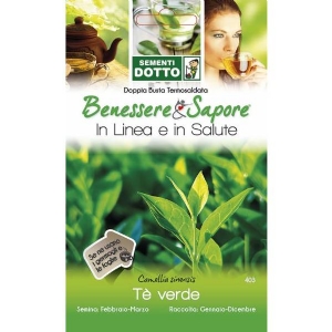 Sementi Dotto - Tè Verde