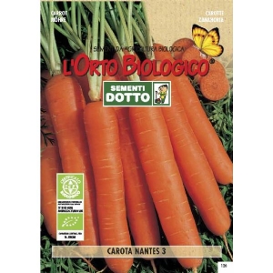 Semi biologici di Carota Nantes 3