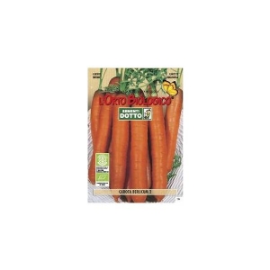 Semi biologici di Carota Berlicum 3