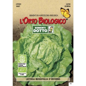 Semi biologici di Lattuga Meraviglia D Inverno