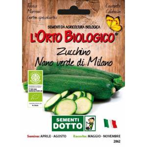 Semi biologici di Zucchino Nano Verde Milano