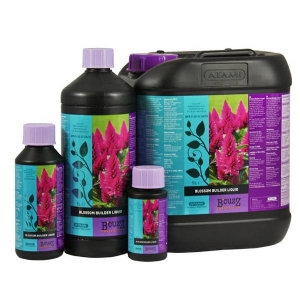 Atami B cuzz Blossom Builder