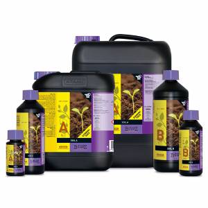 Atami B Cuzz TERRA A+B