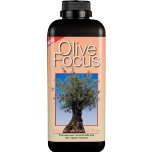 Olive Focus 300ml - Growth Technology