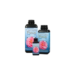 Camelia Focus 300ml - Growth Technology