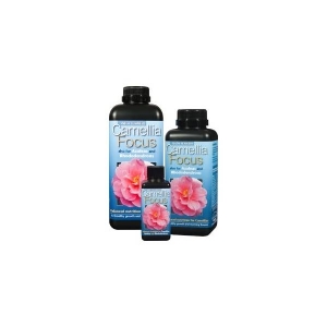 Camelia Focus - Growth Technology