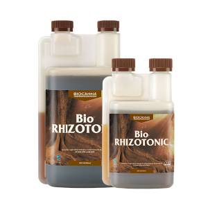 Canna Biorhizotonic