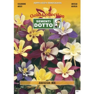 Semi di AQUILEGIA  in mix - h cm 40