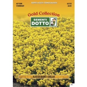 Semi di ALISSO Giallo - h cm 30