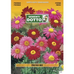 Semi di PIRETRO in mix  - h cm 75