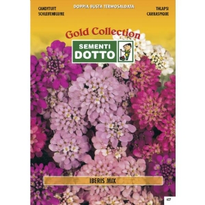 Semi di IBERIS in mix - h cm 30