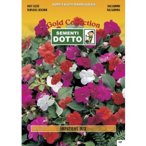 Semi di IMPATIENS in mix - h cm 35
