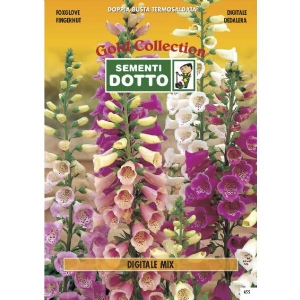 Semi di DIGITALE in mix - h cm 150