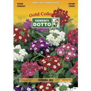 Semi di VERBENA in mix - h cm 30