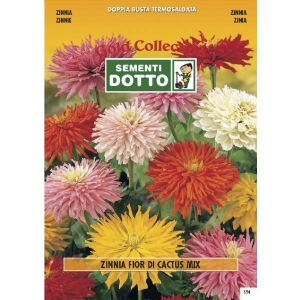 Semi di ZINNIA  a Fior di Cactus in  mix - h cm 75