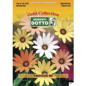 Semi di DIMORFOTECA in mix - h cm 40