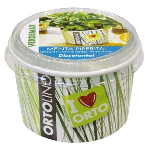 Kit Coltivazione - Ortolino Menta Piperita