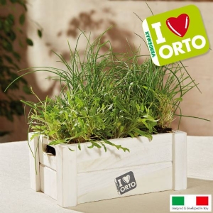 Kit Coltivazione Easyorto di Verdemax - Rucola ed Erba Cipollina