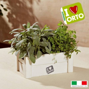 Kit Coltivazione Easyorto di Verdemax - Menta e Salvia