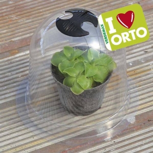 Campana Protettiva media di Verdemax -  Ø26cm x h19,5cm