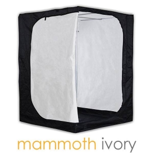 Mammoth - Ivory 150 - 150x150x200 cm