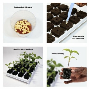 Growth Technology - Vassoio Bianco per 24 Root Riot