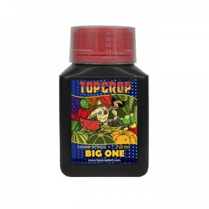 Top Crop - Big One - 250ml