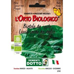 Semi di Bieta Verde Liscia da Taglio