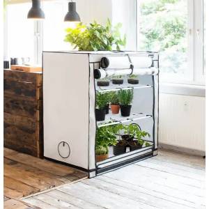 HOMEbox Vista Medium - 125x65x120cm