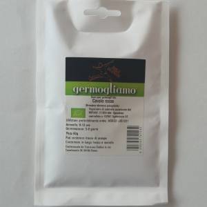 Germogliamo - semi per germogli Bio - Cavolo Rosso