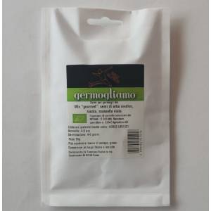 Germogliamo - semi per germogli Bio - Ravanello Viola