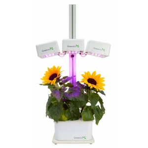 Hydroponic Smart Garden - 3 Lampade - 4 Piante - GreenDea