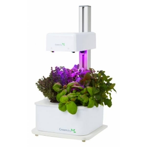 Hydroponic Smart Garden -1 Lampada - 3 Piante - GreenDea