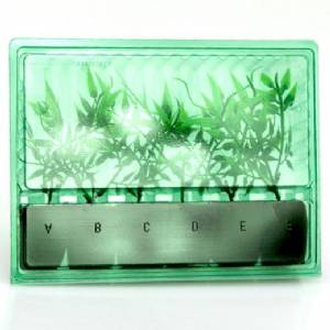 Blister Spedizione e Trasporto Talee