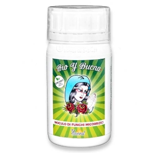 Bio Y Buena - Inoculo di funghi micorrizici - 250gr