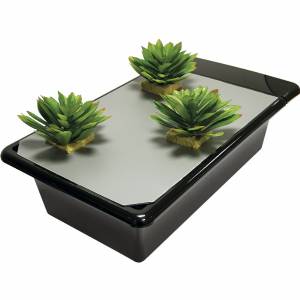 Nutriculture NFT GT901