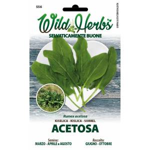 Semi Dotto Acetosa