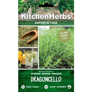 Kitchen Herbs - Dragoncello- Sem. Dotto