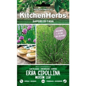 Kitchen Herbs - Erba cipollina - Sem. Dotto