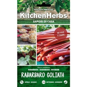 Kitchen Herbs - Rabarbaro Goliath - Sem. Dotto