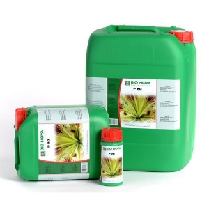 Bionova - P 20% Fosforo 20L