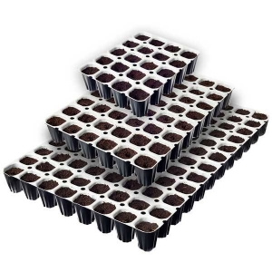 Vassoio Germinazione Spongepot