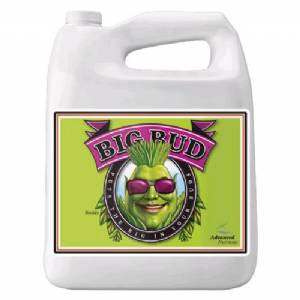 Advanced Nutrients - Big Bud 4L
