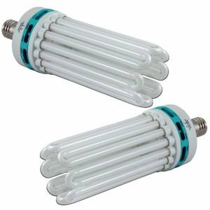 Kit - Compact Fluo 200W Grow + 200W Bloom