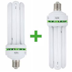 Kit Compact Fluo 130W Grow + 150W Bloom