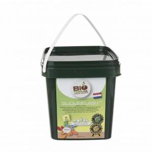 Biotabs - Silicium Flash