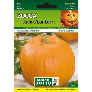 Sementi da Orto - Zucca Jack O Lantern - Sem. Dotto